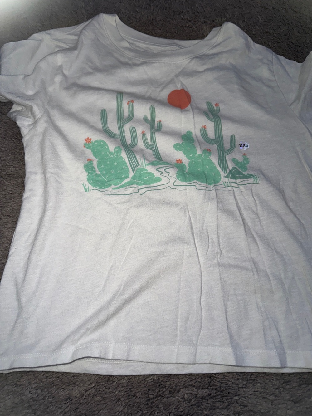 American Eagle Outfitters White Tee with Mint Cactus & Orange Sun